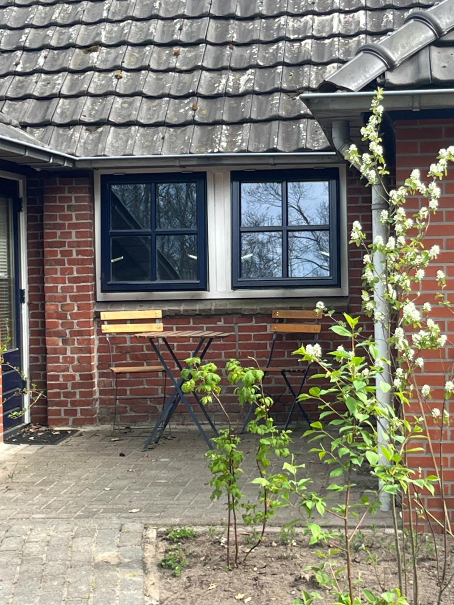 Hoeve Veganza B&B Vlagtwedde Eksteriør bilde