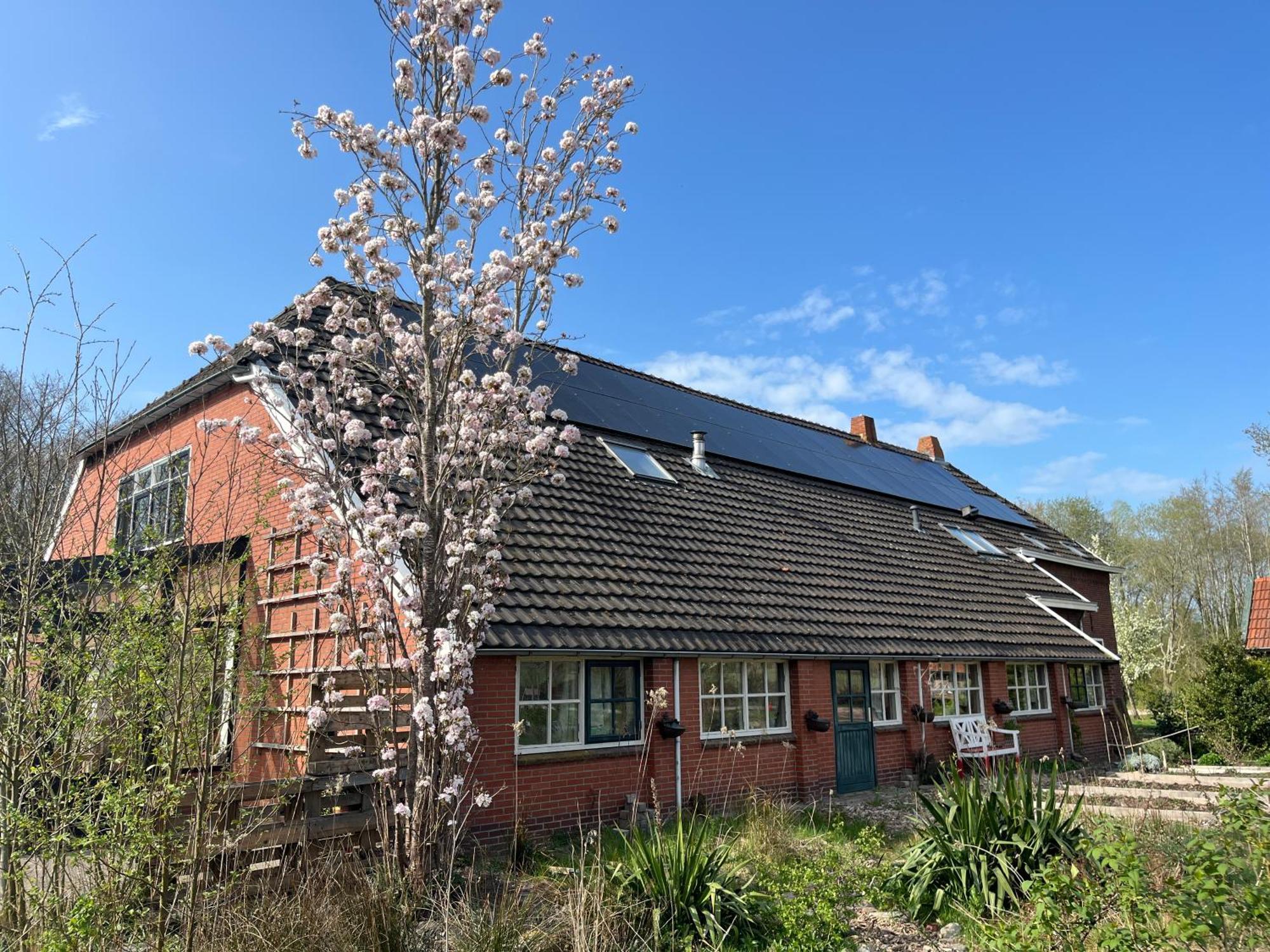 Hoeve Veganza B&B Vlagtwedde Eksteriør bilde